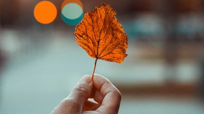 vídeo efecto bokeh móvil