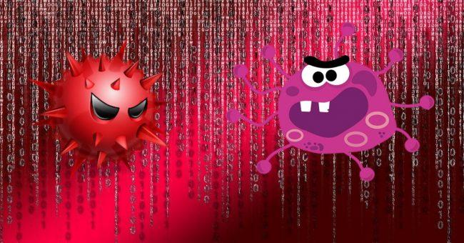 virus y malware con fondo matrix