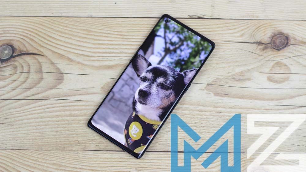 Calidad de la pantalla del OPPO Find X3 Neo