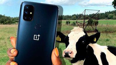OnePlus Nord N10 5G