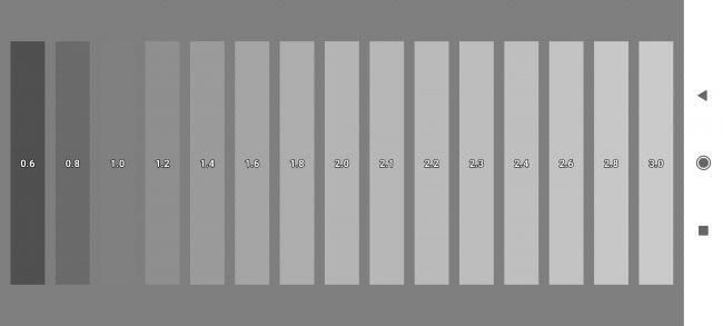 Calidad grises en el Xiaomi Mi 11 Lite 5G