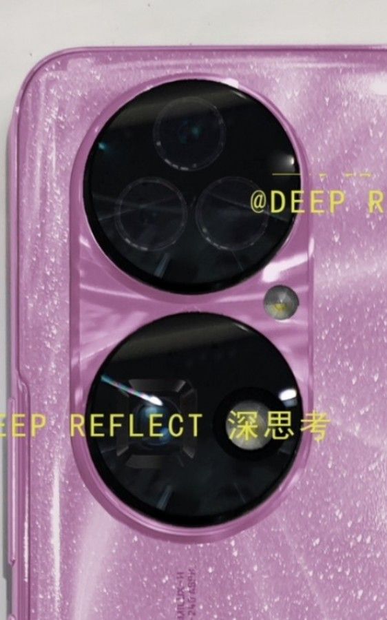 P50 rosa