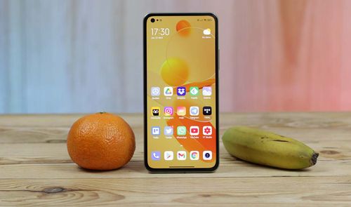 Xiaomi Mi 11 Lite 5G con frutas