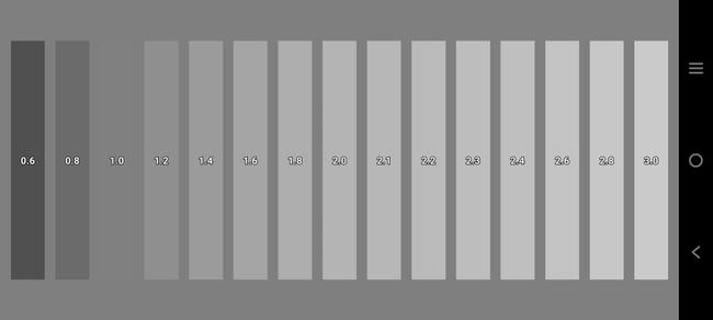 Calidad de los grises del VIVO V21 5G