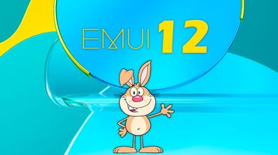 despedida emui 12
