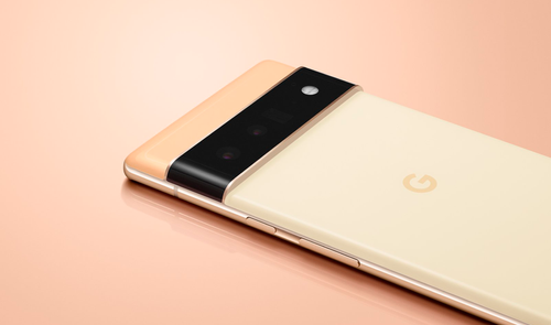 Pixel 6 pro por detrás