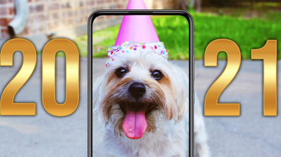 moviles 2021 feliz perro