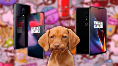 oneplus 6 oneplus 6t perro