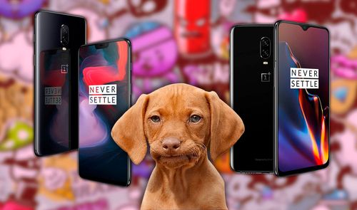 oneplus 6 oneplus 6t perro