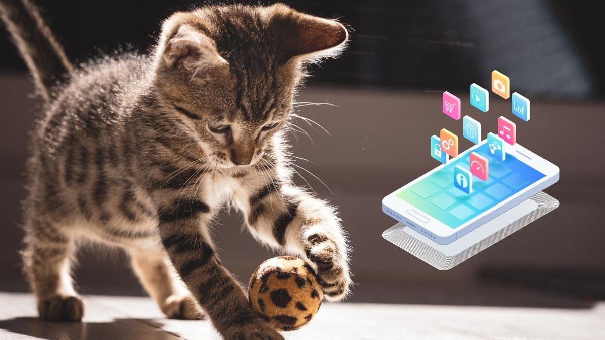 Credencial Célula somatica Hasta Los mejores juegos para gatos en el móvil