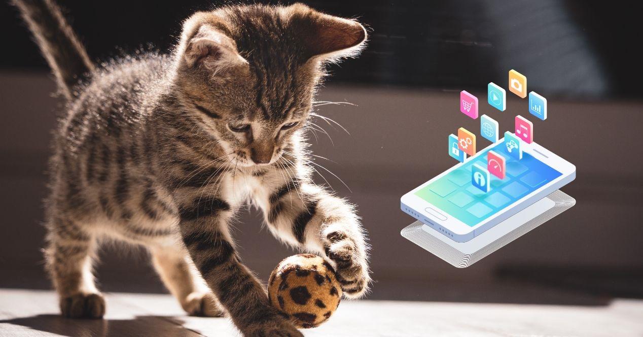 juegos para gatos móvil