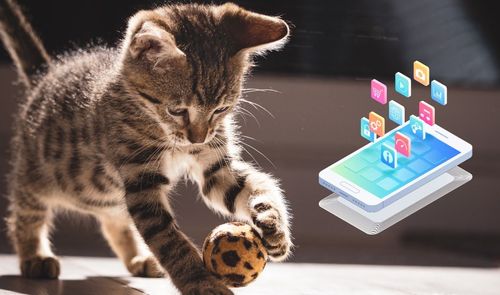 juegos para gatos móvil