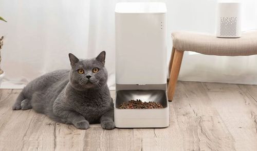 xiaomi Smart Pet Feeder