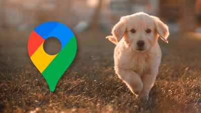 perro maps