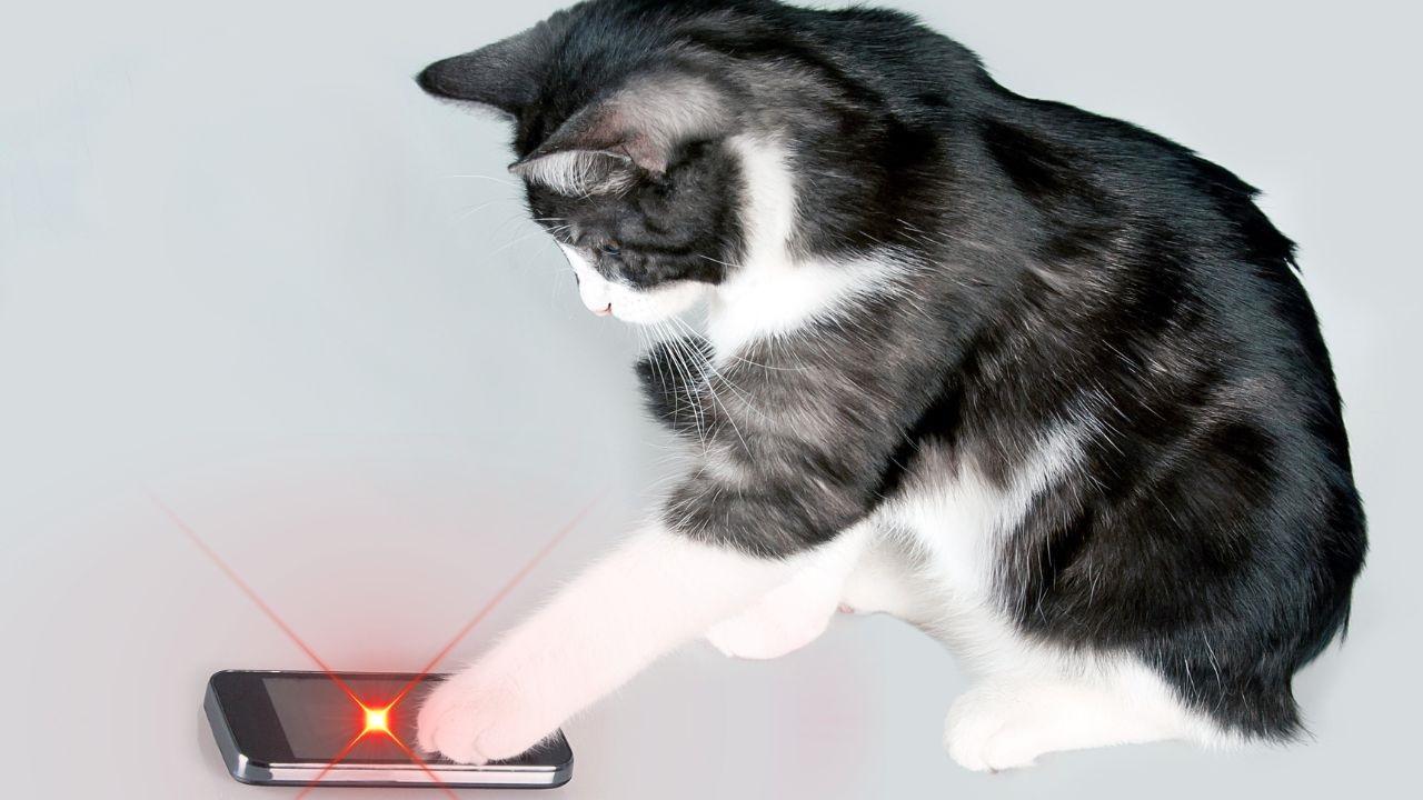 teléfono puntero laser para gatos