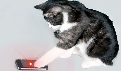 teléfono puntero laser para gatos