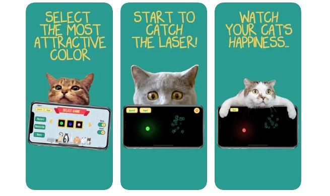 puntero laser gatos