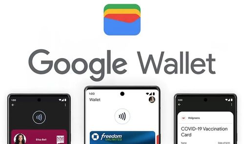 google wallet app