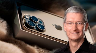 iPhone 14 Pro Tim Cook