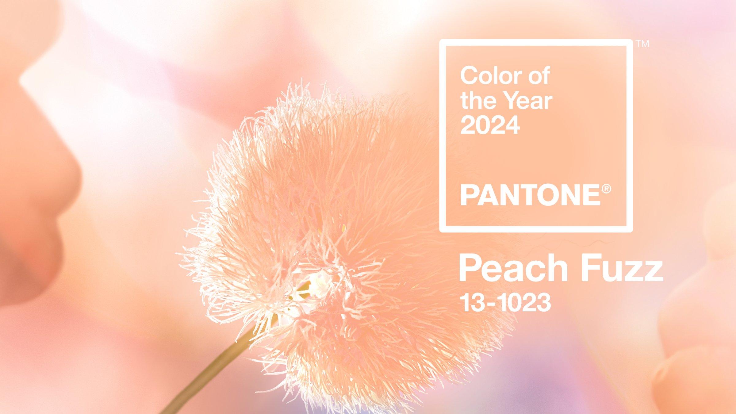 PANTONE 13-1023 Peach Fuzz