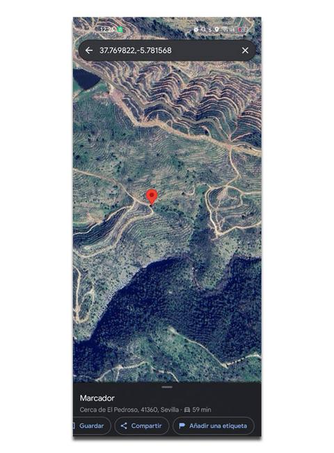 Google Maps marcar punto