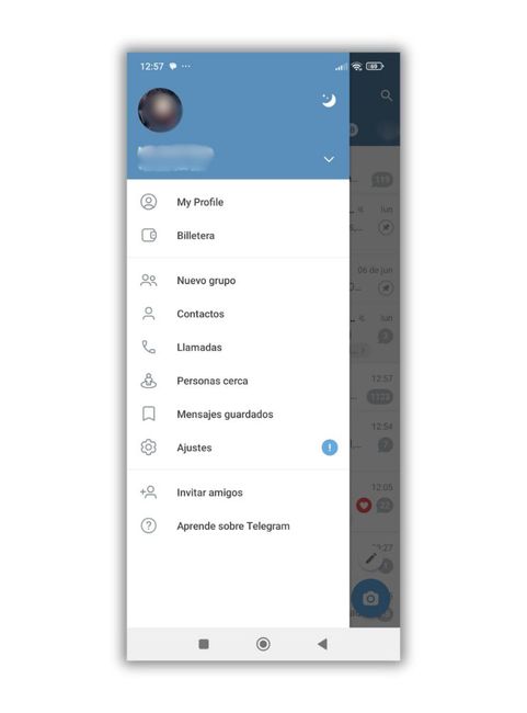 Panel ajustes privacidad Telegram