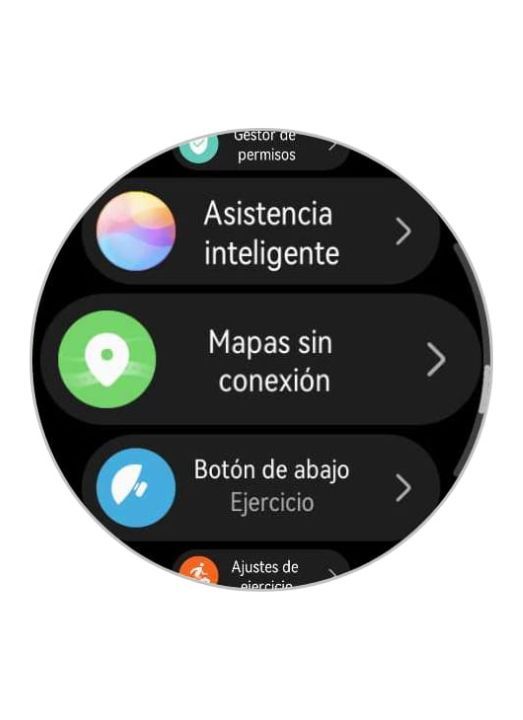 boton de abajo huawei watch