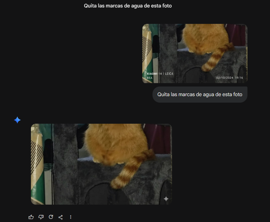 foto sin marca de agua