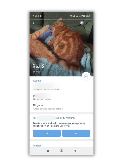 poner video telegram perfil