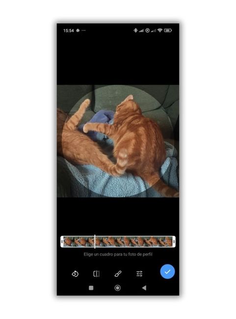 video perfil telegram