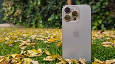 iPhone 16 pro con hojas