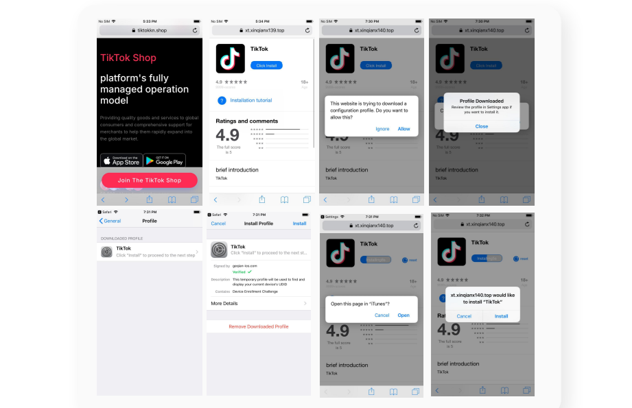 falsas tiendas tiktok shop