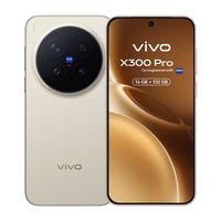 vivo X300 Pro