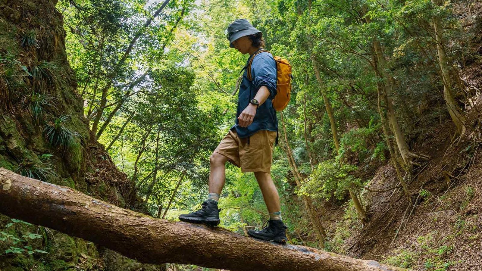 Senderista caminando sobre el tronco de un árbol caído en un bosque frondoso.