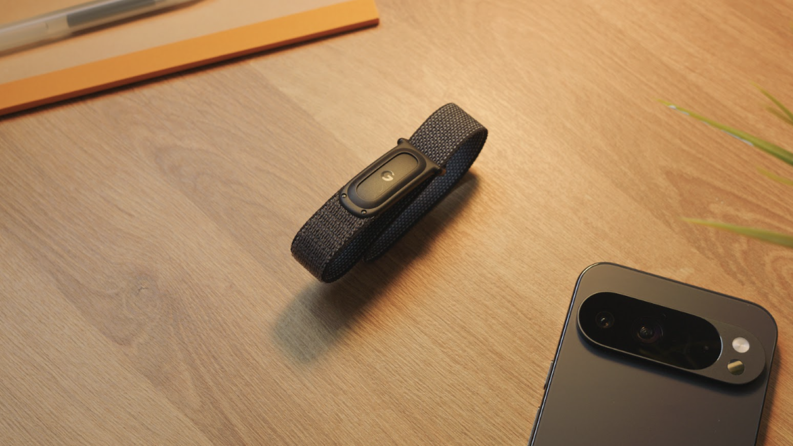 Google Fitbit Air
