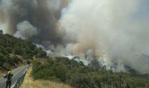 Gran columna de humo blanco y negro emergiendo de una zona boscosa junto a una carretera de montaña.