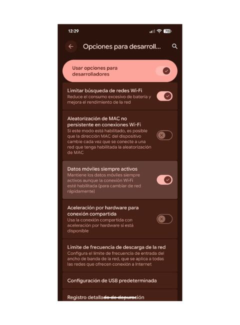 Desactivar Datos móviles siempre activos en Google Pixel