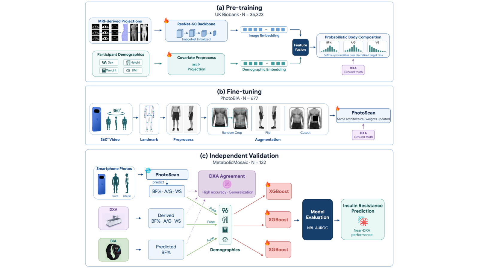 Proceso de entrenamiento de los algoritmos de PhotoScan para medir la composición corporal con la cámara del móvil