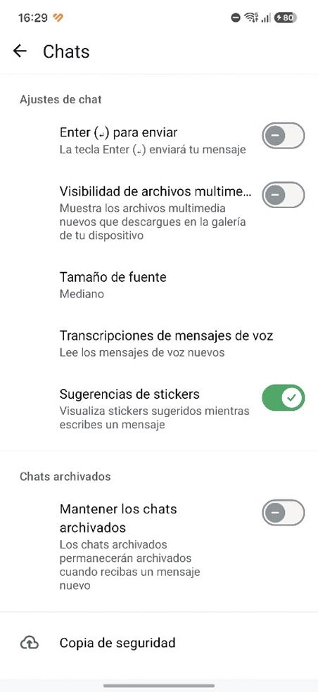 Menú de ajustes de chat en una aplicación de mensajería con la opción de visibilidad de archivos multimedia desactivada.