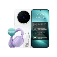 vivo X500 Pro