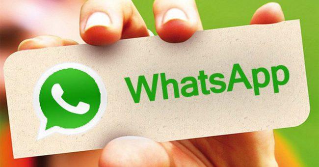 WhatsApp logo verde