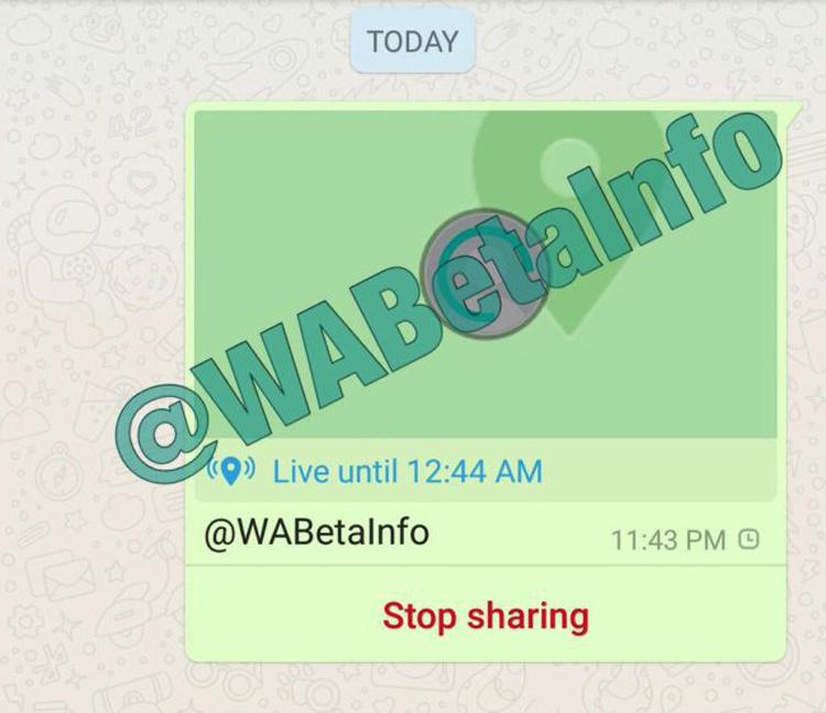 opción de compartir ubicación en tiempo real con WhatsApp