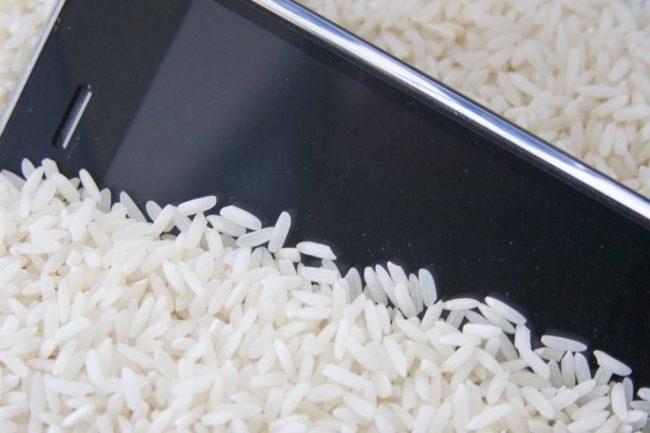 bewegende arroz