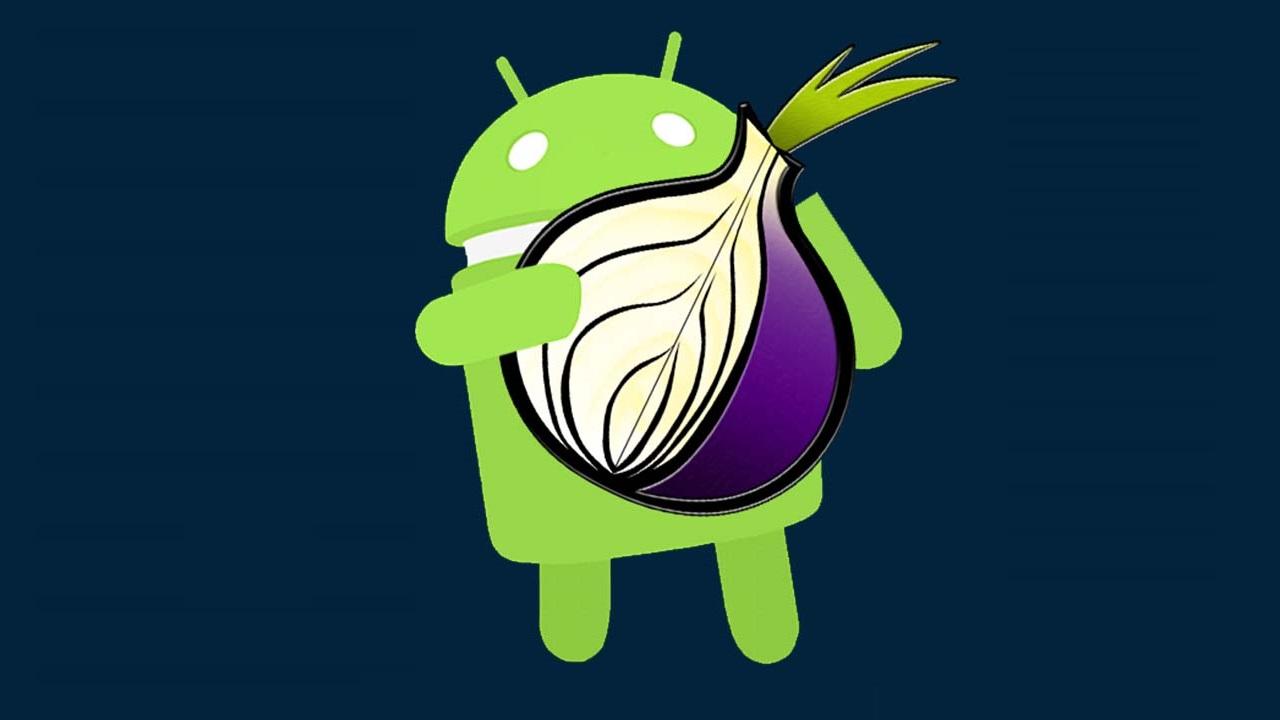 tor браузер android