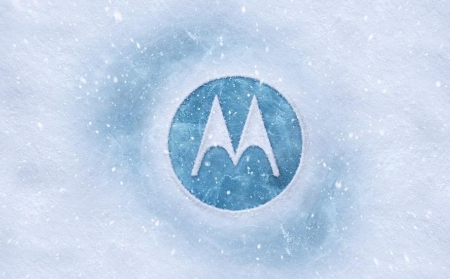Motorola Logo nieve