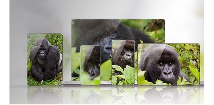 Gorilla Glass productos