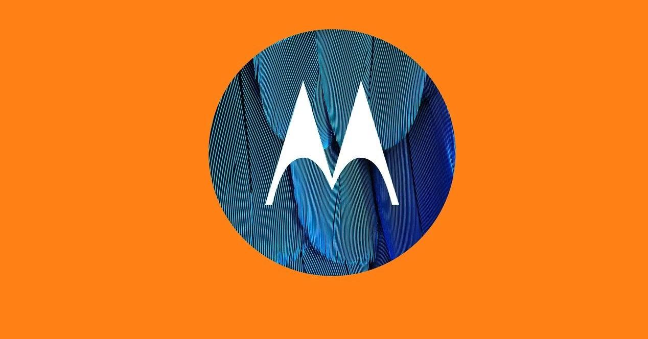 Motorola Logo Naranja