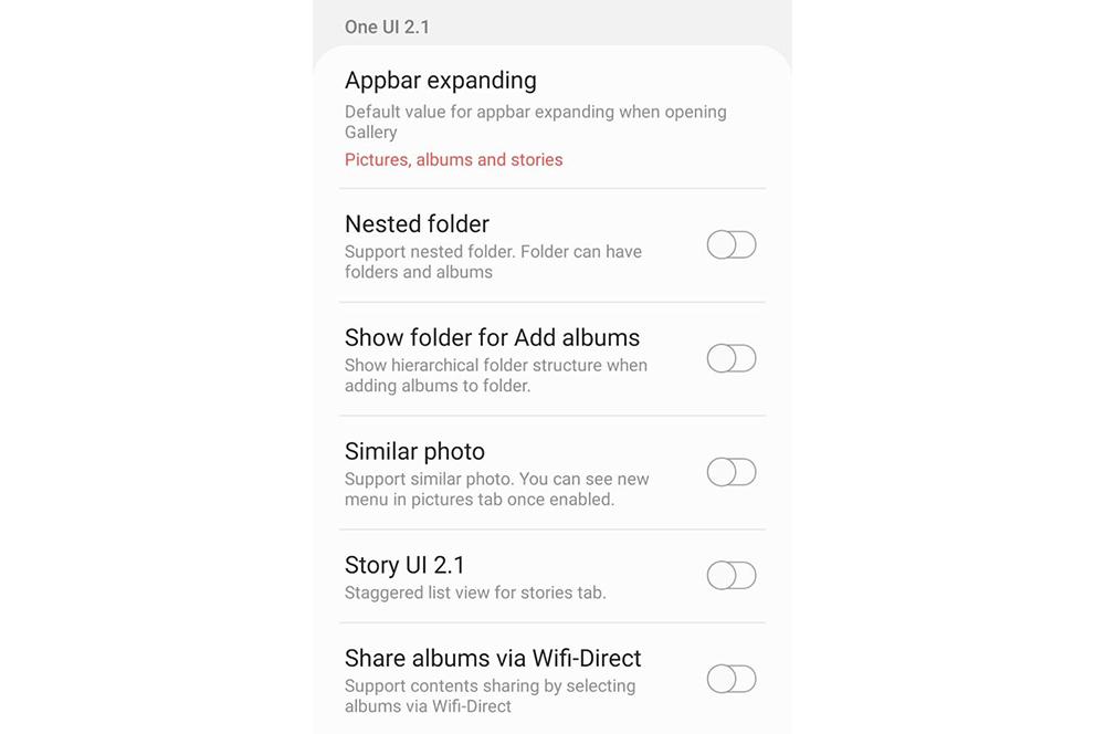 Gallery Labs One UI 2.1